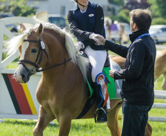 Internationale Haflinger Meisterschaft 2014